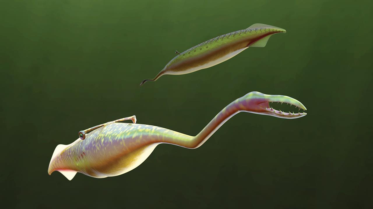 tully monster - Credit - Sean McMahon,Yale University.jpg